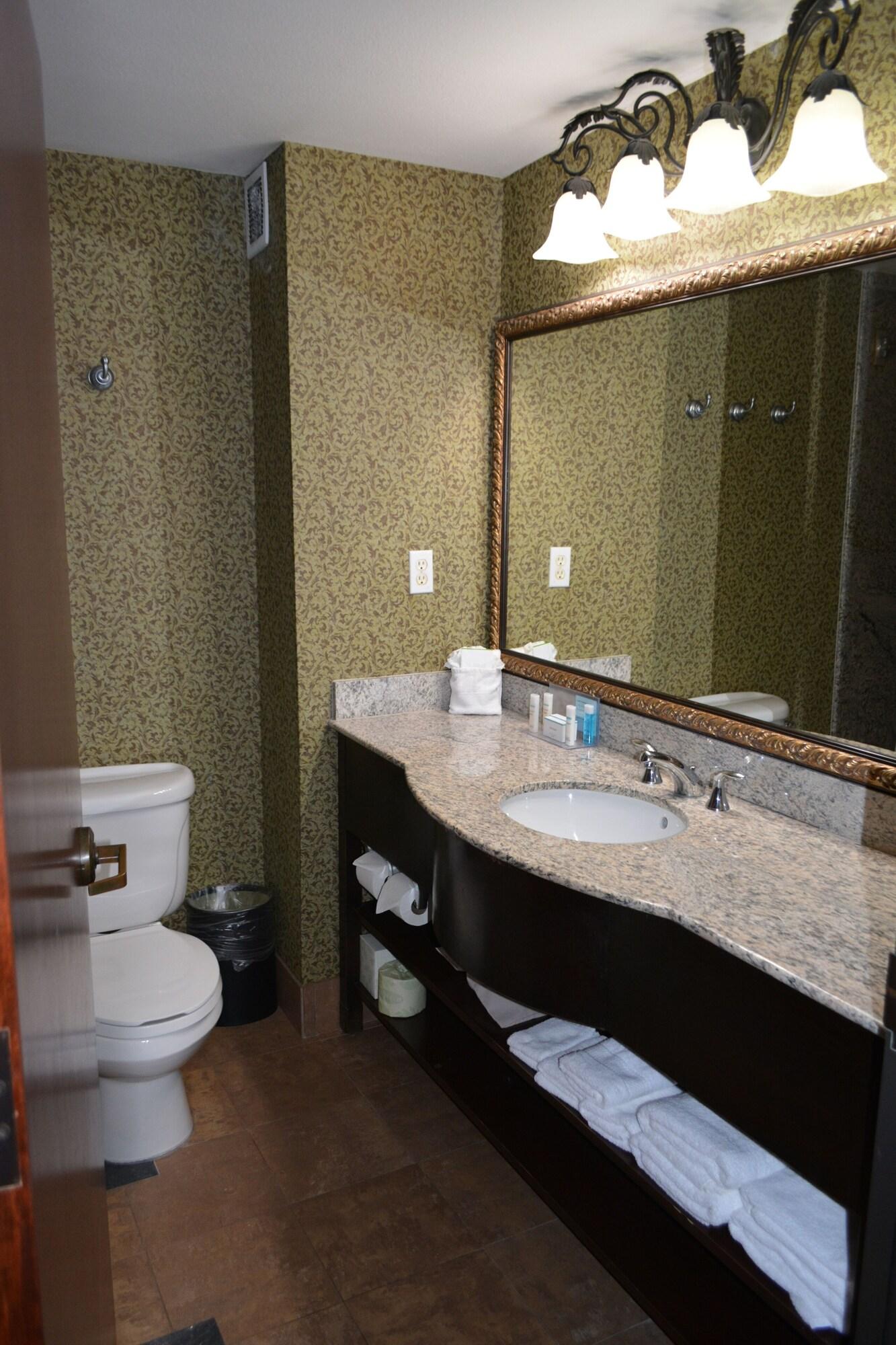 Hampton Inn And Suites Houston-קאטי מראה חיצוני תמונה